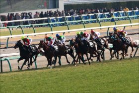 東京大賞典（G1）「売上レコード」にJRAもドヤ顔!? ホープフルS「大成功」の秘訣と有馬記念への「影響」