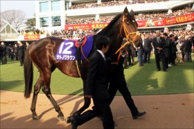 宝塚記念（G1）サトノクラウン「状態上昇」で連覇も十分？ ドバイ帰りの疲れなく陣営も自信