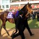 宝塚記念(G1)「3点」勝負は「サトノダイヤモンド」不要! 関係者ゴリ押し勝負馬で「好配当」狙い!!