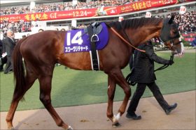 安田記念（G1）「武豊リスグラシュー」不要!? 「極秘ネタ」から渾身の「4点」勝負!!