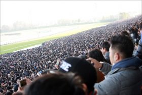 「3大始祖」消滅の危機……日本で「2頭」世界で「0.4％」の血を残すべく立ち上がったカタール王族の「行動」に称賛