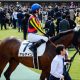 オールカマー(G2)「馬主孝行」ガンコで一発? ジェネラーレウーノに続く「先手」で上位確実?