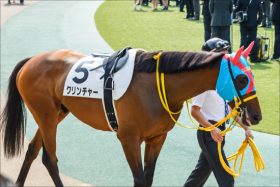【アンタレスS（G3）展望】二刀流クリンチャーに、上がり馬ベストタッチダウンが挑む！ダート新勢力に要注目!!