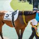 JRA福永祐一「大外枠」からドン詰まりに悲鳴殺到!? 京都金杯(G3)ロードクエスト「ノーステッキ」で13着大敗……