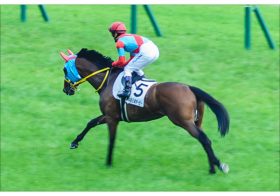 JRA宝塚記念（G1）クリンチャー「キセキ潰し」で大波乱!? 「積極的な競馬を」得意の雨で”激走”の気配十分……