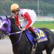 【福島記念(G3)展望】戸崎圭太騎手を確保し万全の態勢が整ったサンマルティン!悲願の重賞制覇のチャンス到来か!?