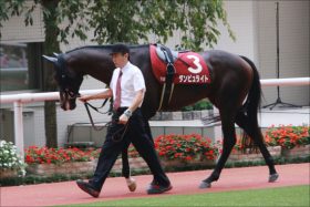 【菊花賞（G1）枠順確定】超大混戦の鍵を握る枠……ダンビュライト、アルアインはイマイチか……
