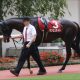戸崎圭太「200勝最低限」宣言も空回り必至!? 中山金杯セダブリランテスで勝利も……