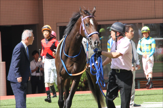 JRA「新鋭」西村真幸厩舎2020年重賞3勝目！ 福島牝馬S（G3）フェアリーポルカ完勝で「女王」アーモンドアイ待つヴィクトリアマイルかの画像1