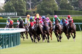 JRA阪神ジュベナイルF（G1）で白毛一族対決実現！ 突然変異「始祖」シラユキヒメから「代重ね」で能力が開花!! 金子真人オーナーの執念が大舞台で実る？