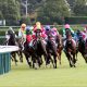 JRA武豊が阪神JF(G1)で「横山典弘超え」狙う!? 相性良好「はとこ」武英智師メイケイエールでJRA・GI最長間隔勝利記録更新なるか?