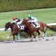 JRA「お役所」仕事にも期待……。かしわ記念(G1)では「テレワーク」実施! 悔やまれるのはあの「名物」レース!?