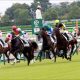 JRA武豊と1戦でコンビ解消のサトノルークス、小倉記念(G3)「川田将雅に乗り替わり」で思い出される9か月前の“悪夢”