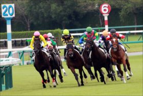 JRA友道康夫厩舎の牝馬クラシック候補がいよいよデビュー！ あの大物牝馬と重なる血統背景は、牝馬クラシック制覇という「天命」か!?
