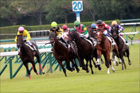 JRA新潟「関西攻勢」は今週まで!? 「今週末の新潟」でこそ関西馬と関西騎手を買うべき理由とは？