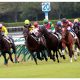 JRA C.ルメール「絶賛」ジャングルキングが3馬身差圧勝デビュー! 馬主YouTuber「G3は獲れるかな」良血ドゥラメンテ産駒が躍動