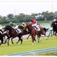 シルバーステートらJRA新種牡馬の高い壁。「2021ディープインパクト産駒」の注目20頭と日本ダービー候補を独自の採点でランキング