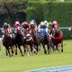 JRA暴走王ダノンマジェスティが「反則勝ち」!? M.デムーロ騎手に「騎乗拒否」された問題児に、和田竜二騎手あわや騎乗停止……