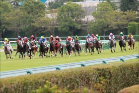 秋華賞（G2）「地味で美味しい」カワキタエンカで一攫千金!? 「不思議騎乗」横山典弘より「夏の王」北村友一で信頼増!?