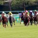 JRA「単勝1.1倍」敗戦にC.ルメールも大ショック!? 超良血カランドゥーラの連敗に見えた「賞金王」モーリスの弱点とは