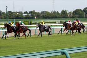 【葵S（重賞）展望】初代王者の栄光はどの馬に？3歳世代のスピード自慢が大集結！