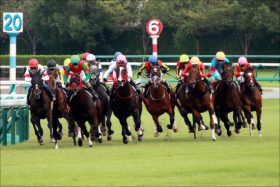 JRAダービー2着馬ダノンキングリーの弟が今週デビュー予定！ 父キングカメハメハの”ある特徴”が適性に大きく影響も!?