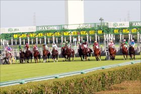 JRA阪神JF（G1）武豊ヤマカツマーメイド期待大？ 栗東から有力情報入手