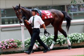 【日経賞（G2）展望】菊花賞馬キセキ始動！ 超堅実派ゼーヴィントなど実力馬が出走予定「豪華G2」を見逃すな!!