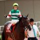オールカマー(G2)「馬主孝行」ガンコで一発? ジェネラーレウーノに続く「先手」で上位確実?