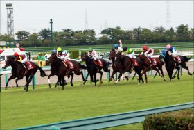 レイデオロ陣営から溢れる「自信」。ジャパンC（G1）現役王者キタサンブラックの「弱点」を突き”政権交代”へ……