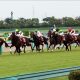 レイデオロ「有馬記念回避」濃厚にガックリ? 「ゆとりローテ」批判も体質を思えば……