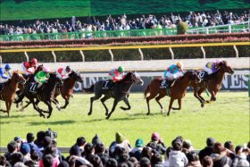 JRA木幡育也「引退」濃厚？ 「飲酒喫煙×ドーピング」の数え役満……制裁多すぎ兄とともに「木幡一族」最大の危機へ