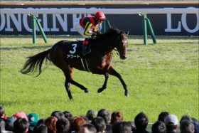 JRA「日本人騎手の希望」となれ!? 石橋脩ラッキーライラックに「ミス」は許されない
