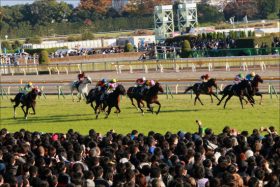 【ダイヤモンドS（G3）展望】フェイムゲーム登場！名物マラソンレースを制するのは？