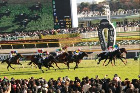 【クイーンC（G3）展望】クラシックへ向けてマウレア始動！前走の雪辱を狙うテトラドラクマとの初対決の行方は？