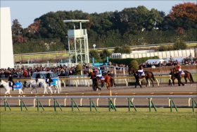 【根岸S（G3）展望】優先出走権をめぐる争いにも要注目！好メンバーが集結するレースを制するのは？