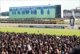 JRAにピンポイントで「潰された」殿堂馬……「障害最強馬」オジュウチョウサンが超えるべき「最後の壁」は、強過ぎるが故の”歴史的遺恨”