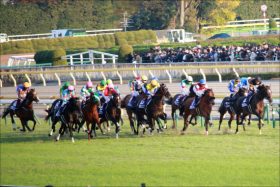 京王杯SC（G2）の危険な人気馬!?　関係者が明かした「復活が期待される4頭」で大勝負!!