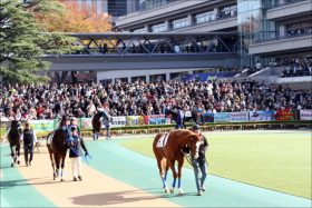 JRA「ふてくされ」帰国!? A.アッゼニ「落馬したからやだ！」駄々こね大モメで永久サヨウナラ？