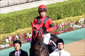 JRA友道厩舎の「王道」新馬戦で期待のディープインパクト産駒がデビュー！ 最強ニックスでワグネリアン超えか!?