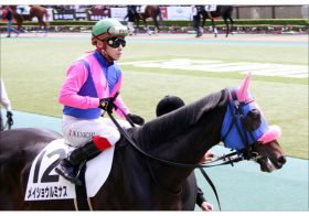 JRAチューリップ賞（G2）「2歳王者と互角」メイショウショウブの可能性。池添謙一の「策」がはまれば……