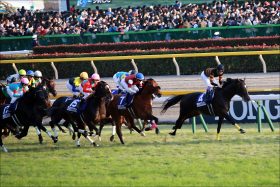有馬記念（G1）キタサンブラック「完全燃焼」へ豪快リハ！「未完の大器」返上へあの”穴馬”に復活の兆し！