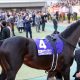キタサンブラックより堅い大本命!? 21世紀「最強」の障害馬オジュウチョウサン中山大障害連覇へ向け死角なし!