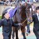 有馬記念（G1）キタサンブラック「完全燃焼」へ豪快リハ！「未完の大器」返上へあの”穴馬”に復活の兆し！