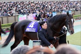 有馬記念（G1）「枠順」キタサンブラックは「1枠2番」！ 期待通りの”絶好枠”に武豊騎手も「一番欲しかった枠」
