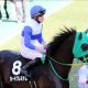 「北」を持つ「北」島三郎のキタサンブラックが有馬記念勝利確実!? 「今年の漢字」もラストランを後押し
