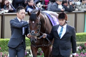 レイデオロ「危機的状況」か……ドバイ遠征に「世界最強エネイブルのライバル？」参戦可能性