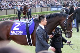 JRAオールカマー「レイデオロ軸」から穴で高配当!? 関係者情報で見出す「6点」勝負！