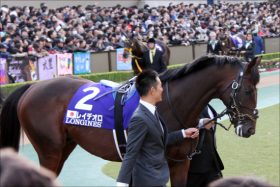 【ドバイ2018展望】武豊アウォーディーが世界の頂点に挑む！レイデオロVS凱旋門賞2着馬のドバイシーマクラシックなど豪華メンバーが集結！