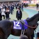 【京阪杯(G3)展望】前走からの巻き返しを狙うアレスバローズ!夏のスプリント重賞2連勝の実力を示せるか?